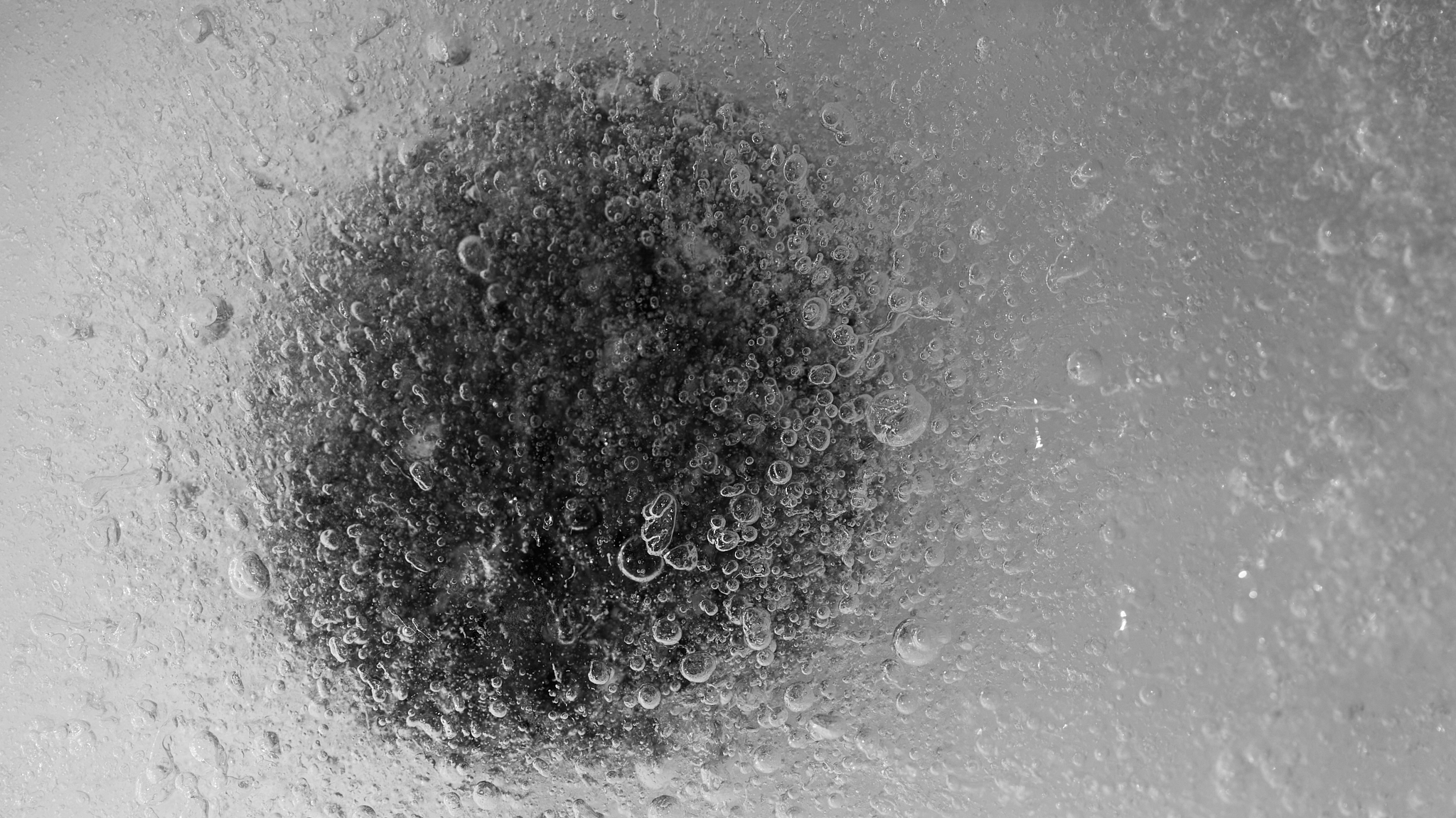 Fotografia de bodegon 23